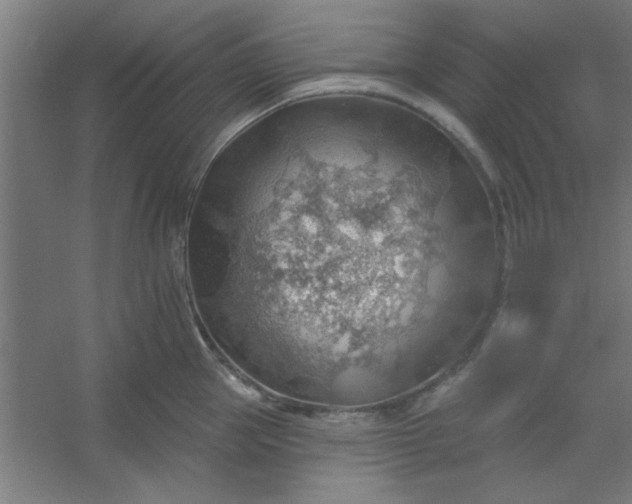 X0000054400953200508121655