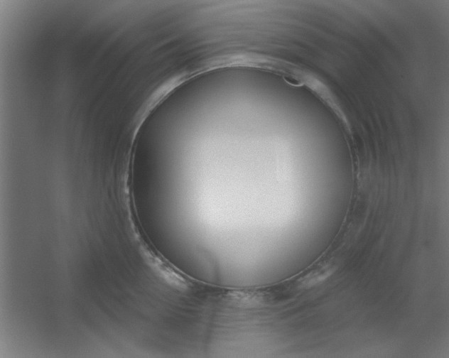 X0000054400954200508121655