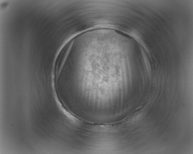 X0000054400955200508121655