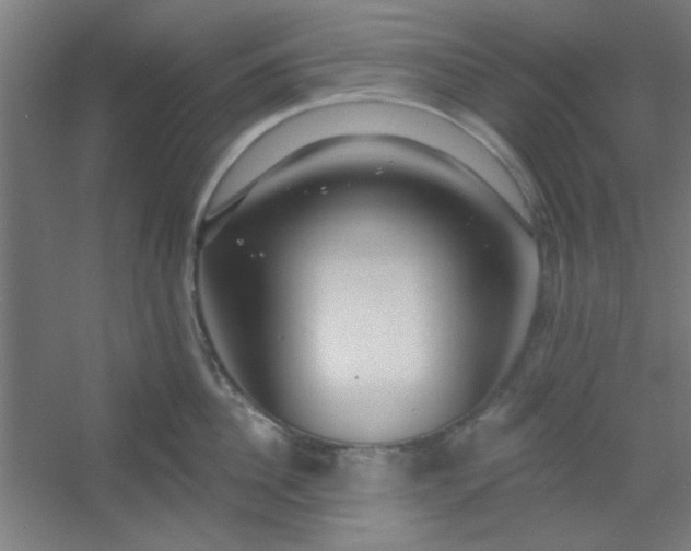 X0000054400956200508121655