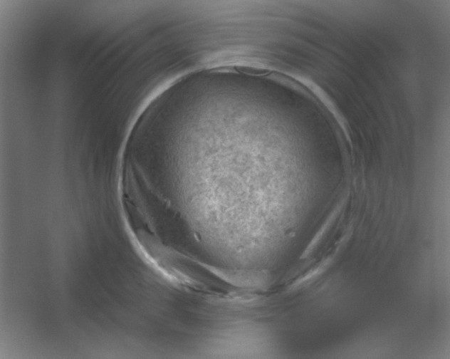 X0000054400957200508121655