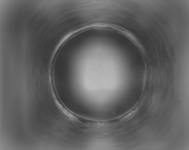 X0000054400958200508121655