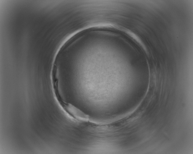 X0000054400959200508121655