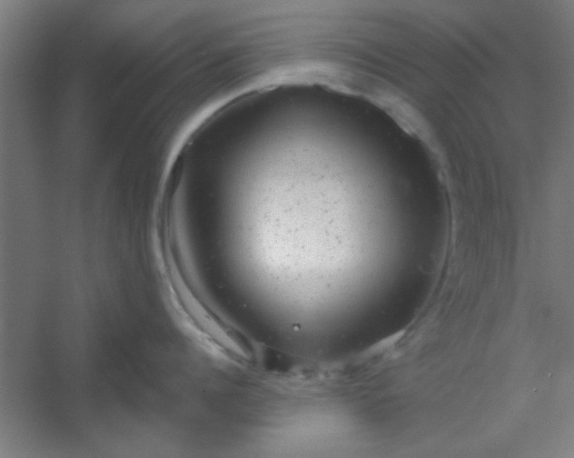 X0000054400960200508121655