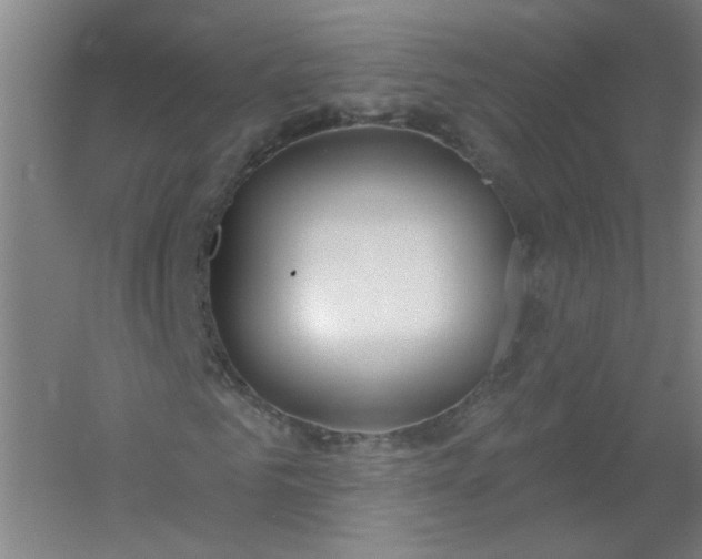 X0000054400961200508121655