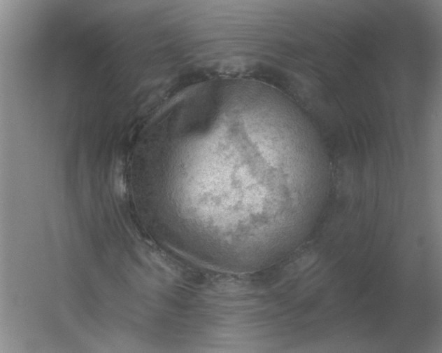 X0000054400962200508121655