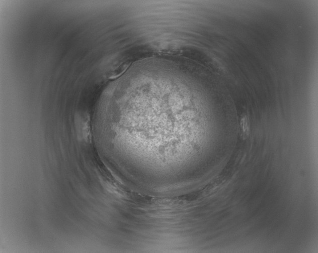 X0000054400963200508121655