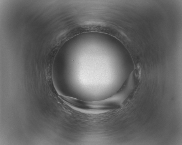 X0000054400965200508121655