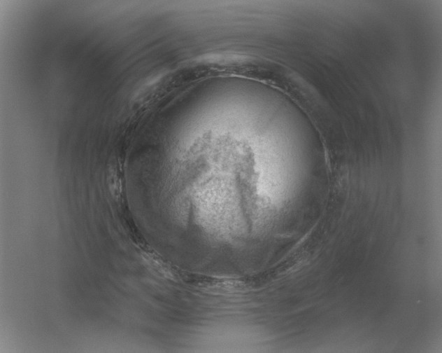 X0000054400966200508121655