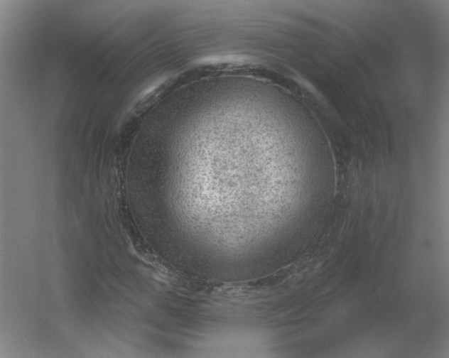 X0000054400967200508121655