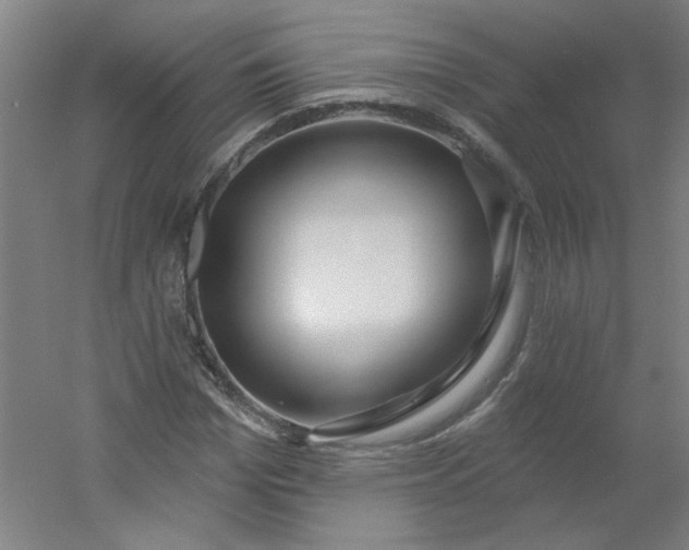 X0000054400969200508121654