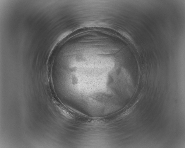 X0000054400974200508121654