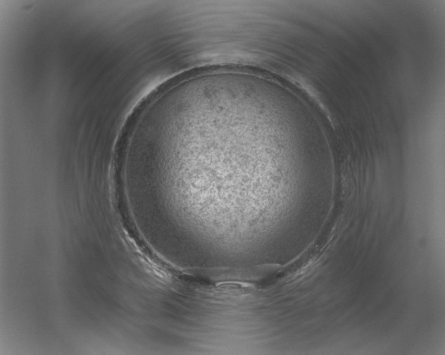 X0000054400975200508121654