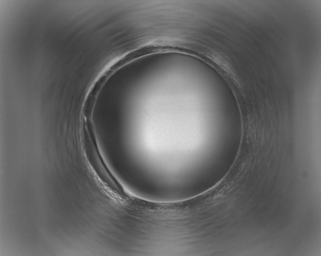 X0000054400976200508121654