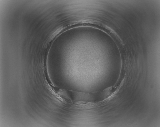 X0000054400977200508121654