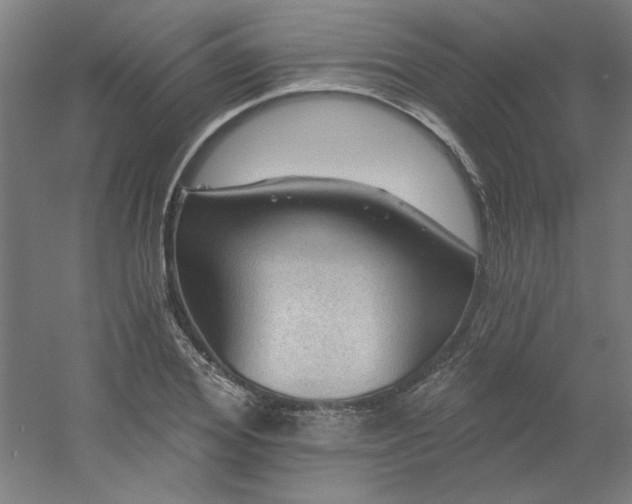 X0000054400980200508121654