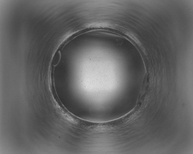 X0000054400984200508121654