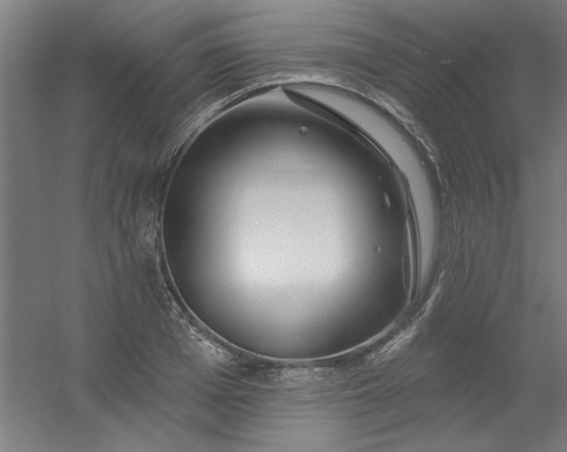 X0000054400985200508121654