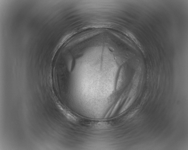 X0000054400986200508121654