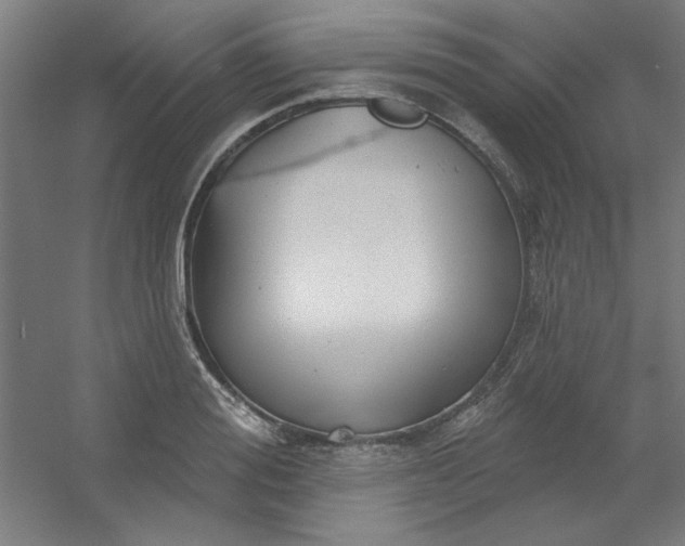 X0000054400988200508121654