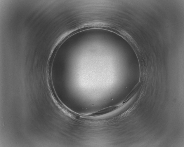 X0000054400989200508121654