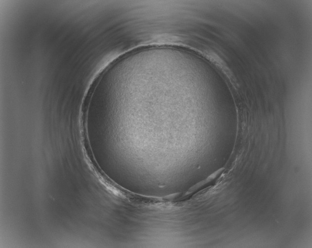 X0000054400990200508121654