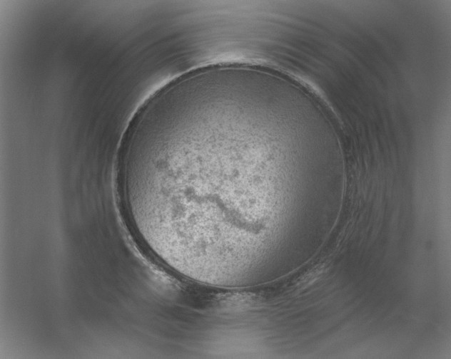 X0000054400991200508121654