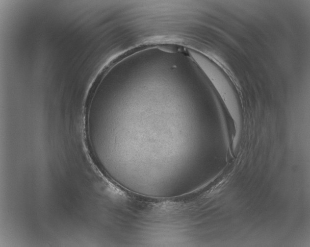 X0000054400992200508121654