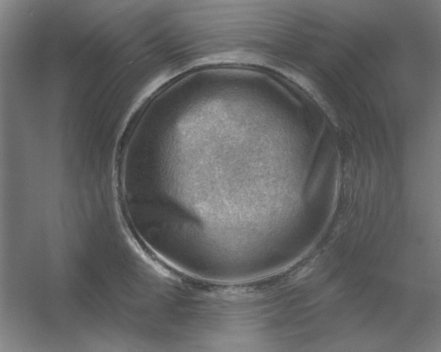 X0000054400998200508121654