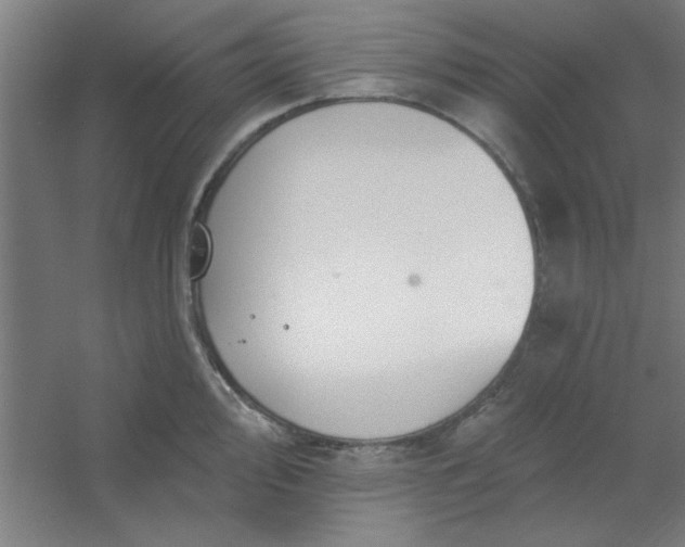 X0000054401000200508121654