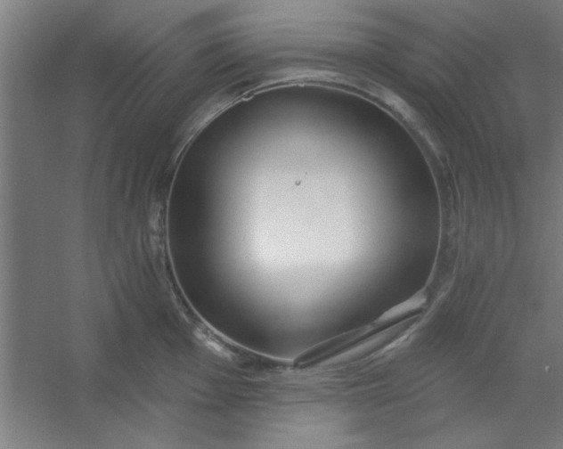 X0000054401001200508121654