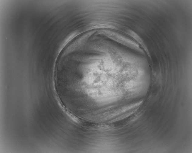 X0000054401002200508121654