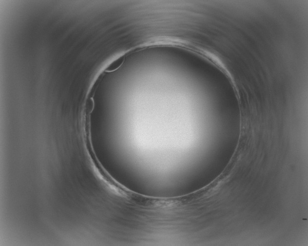 X0000054401003200508121654