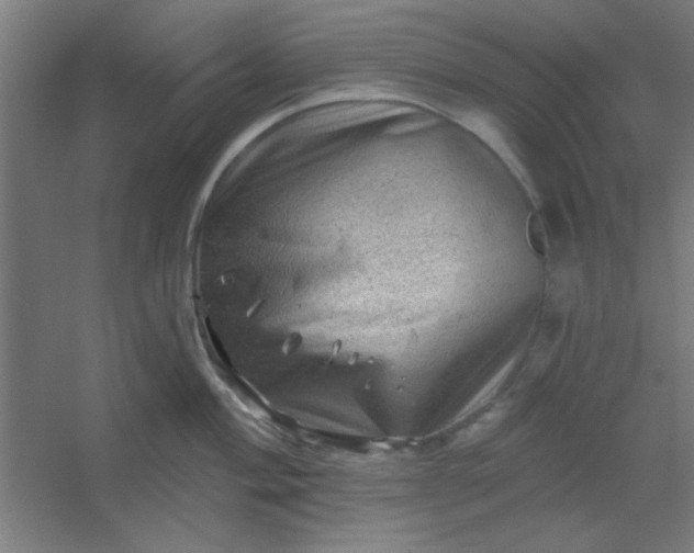 X0000054401004200508121654