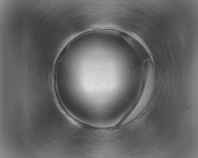 X0000054401005200508121654