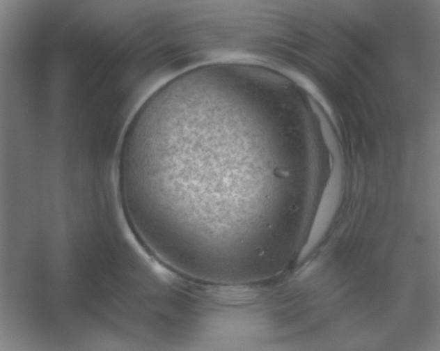 X0000054401007200508121654