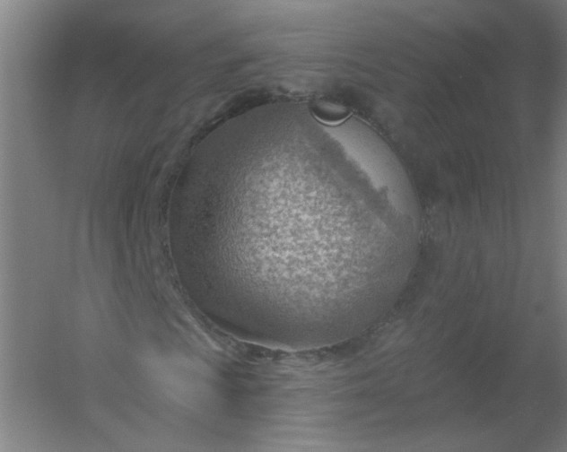 X0000054401009200508121653