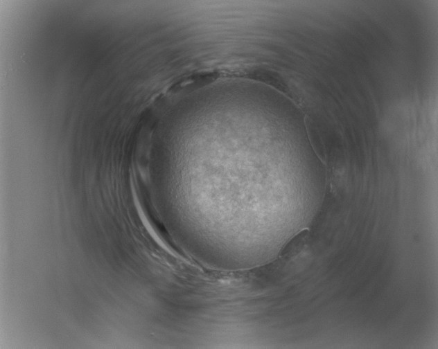 X0000054401010200508121653