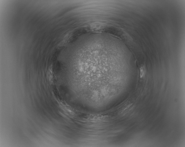 X0000054401011200508121653