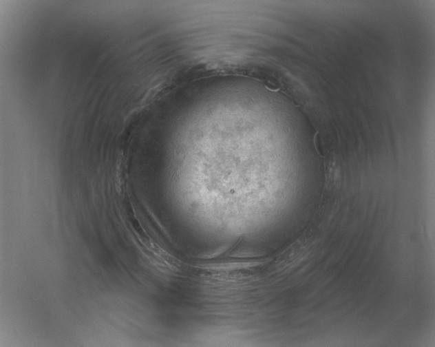 X0000054401012200508121653