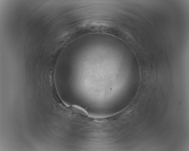 X0000054401013200508121653