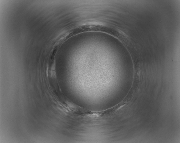 X0000054401014200508121653