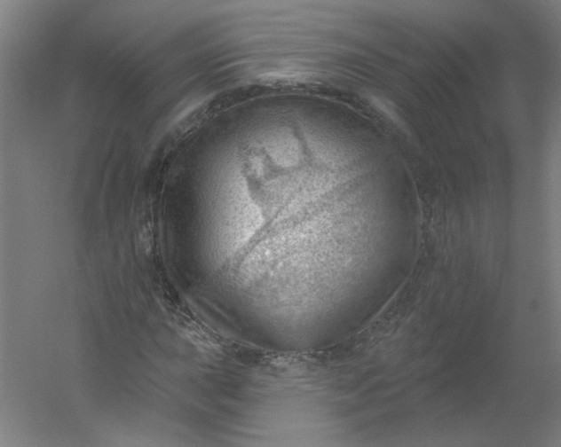 X0000054401015200508121653