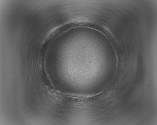 X0000054401016200508121653