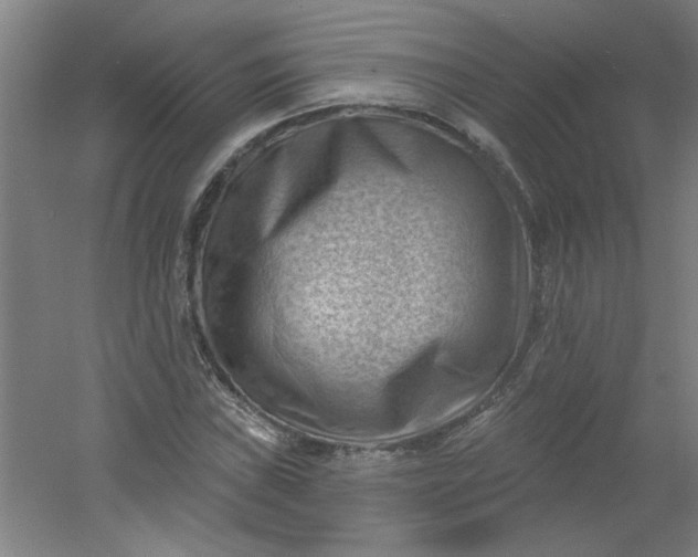 X0000054401019200508121653