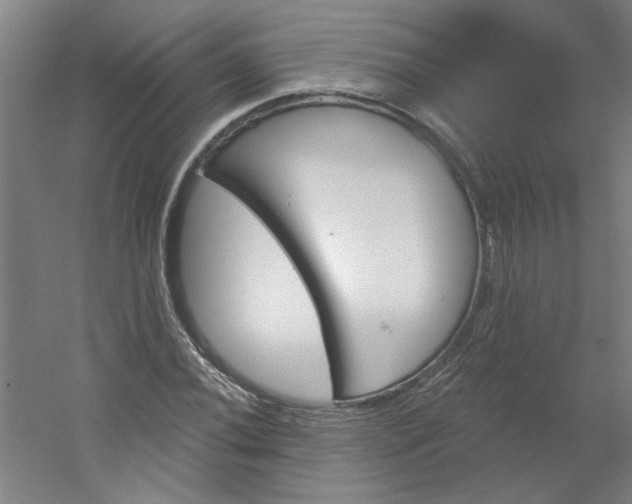 X0000054401020200508121653