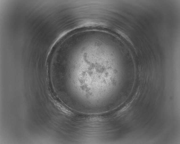 X0000054401021200508121653