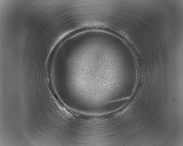 X0000054401022200508121653