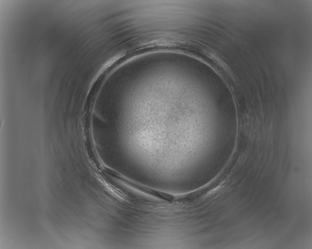 X0000054401026200508121653