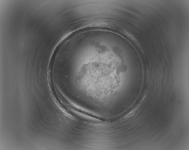 X0000054401029200508121653